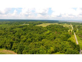 TRACT 44 - ILLINOIS LAND AUCTION - 4,810+/- ACRES OFFERED IN 85 TRACTS IN FRANKLIN, WILLIAMSON, HAMILTON & SALINE COUNTIES, ILLINOIS